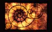 Ammonite-04-scaled