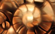 Ammonite-08-scaled