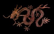 Metal-Dragon-scaled