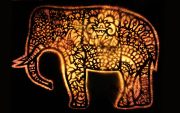 Elephant-3-scaled
