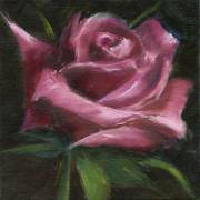 Magenta-Rose