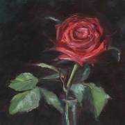 Valentine-Rose